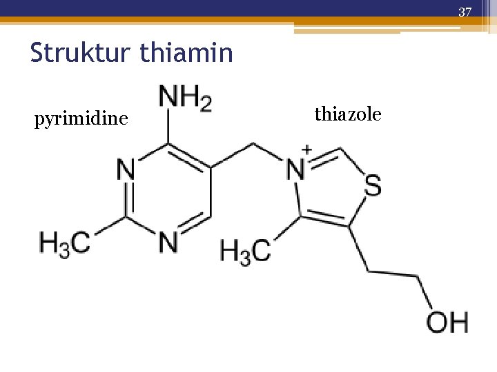37 Struktur thiamin pyrimidine thiazole 