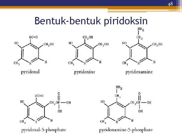 48 Bentuk-bentuk piridoksin 