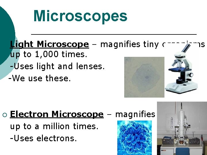 Microscopes ¡ ¡ Light Microscope – magnifies tiny organisms up to 1, 000 times.