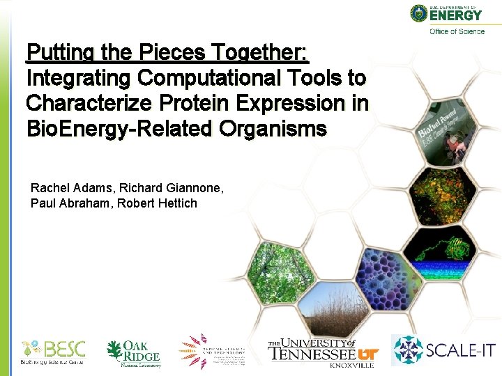 Putting the Pieces Together: Integrating Computational Tools to Characterize Protein Expression in Bio. Energy-Related