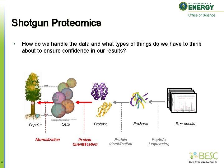 Shotgun Proteomics • How do we handle the data and what types of things