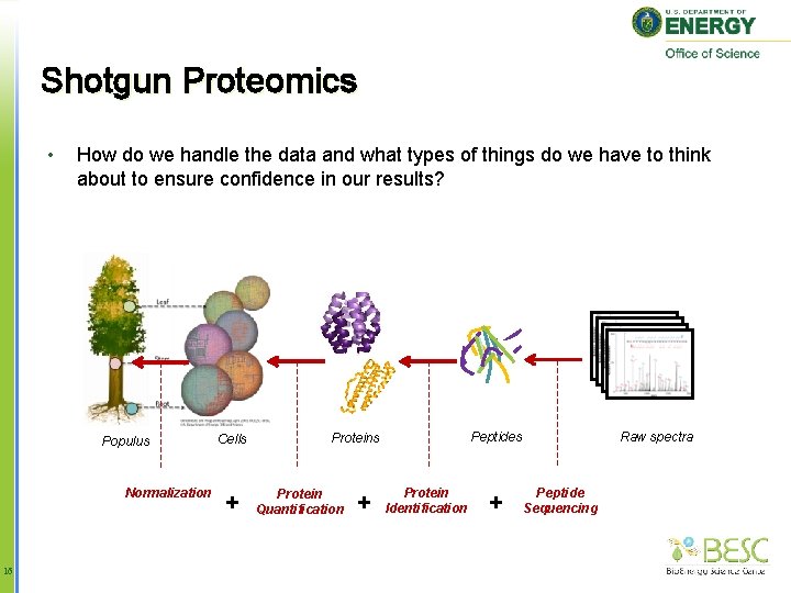 Shotgun Proteomics • How do we handle the data and what types of things