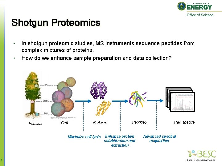 Shotgun Proteomics • • In shotgun proteomic studies, MS instruments sequence peptides from complex