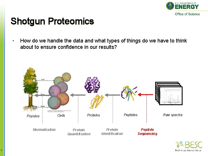 Shotgun Proteomics • How do we handle the data and what types of things