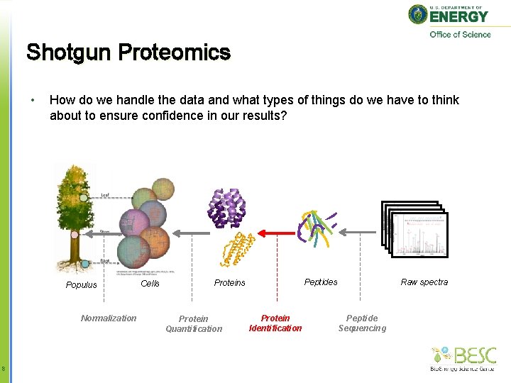 Shotgun Proteomics • How do we handle the data and what types of things