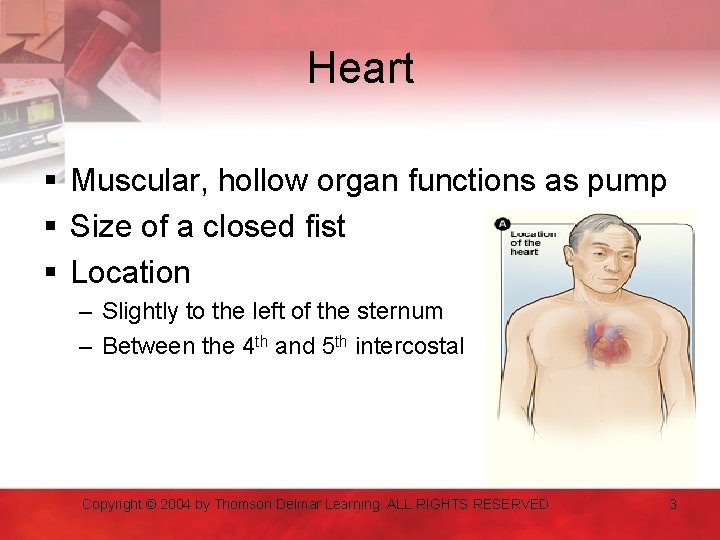 Heart § Muscular, hollow organ functions as pump § Size of a closed fist