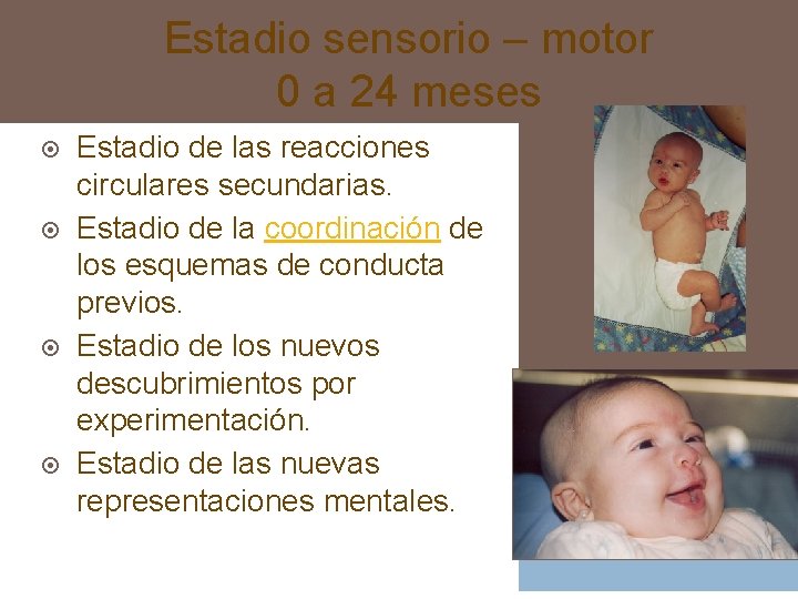 Estadio sensorio – motor 0 a 24 meses ¤ ¤ Estadio de las reacciones Estadio sensorio – motor 0 a 24 meses ¤ ¤ Estadio de las reacciones