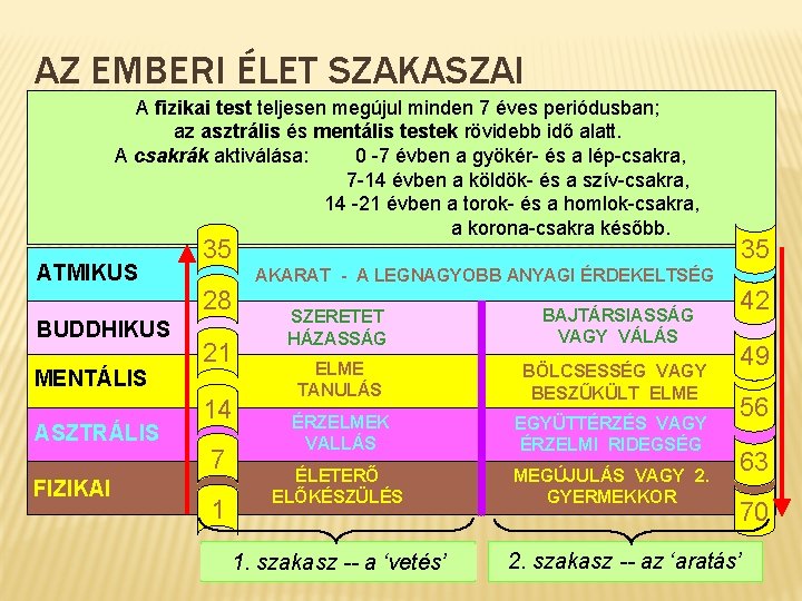 AZ EMBERI ÉLET SZAKASZAI A fizikai test teljesen megújul minden 7 éves periódusban; az