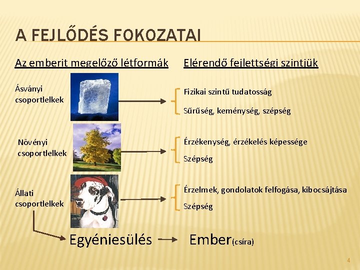 A FEJLŐDÉS FOKOZATAI Az emberit megelőző létformák Elérendő fejlettségi szintjük Ásványi csoportlelkek Fizikai szintű