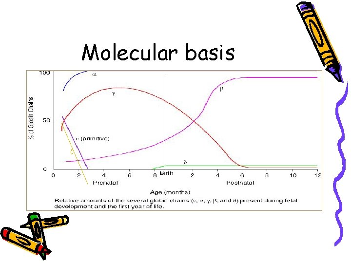 Molecular basis ζ 