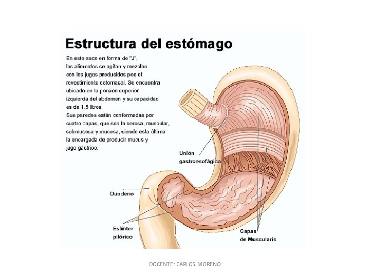 DOCENTE: CARLOS MORENO 