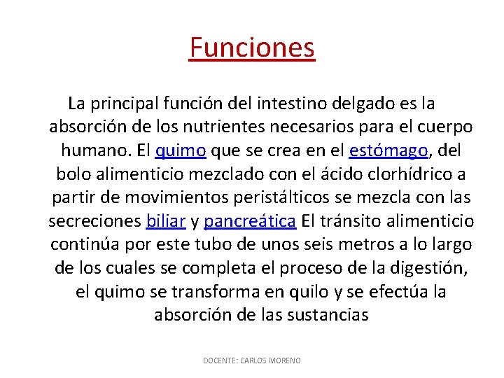 Funciones La principal función del intestino delgado es la absorción de los nutrientes necesarios