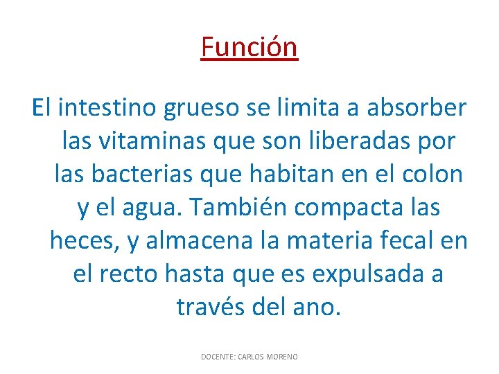 Función El intestino grueso se limita a absorber las vitaminas que son liberadas por