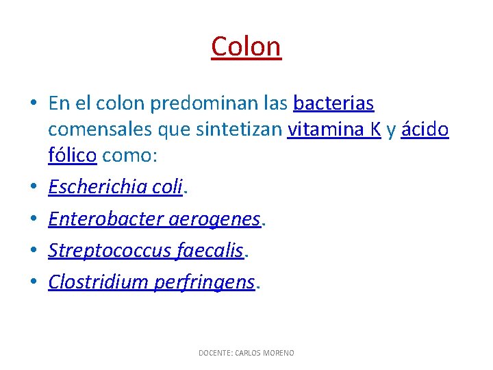 Colon • En el colon predominan las bacterias comensales que sintetizan vitamina K y