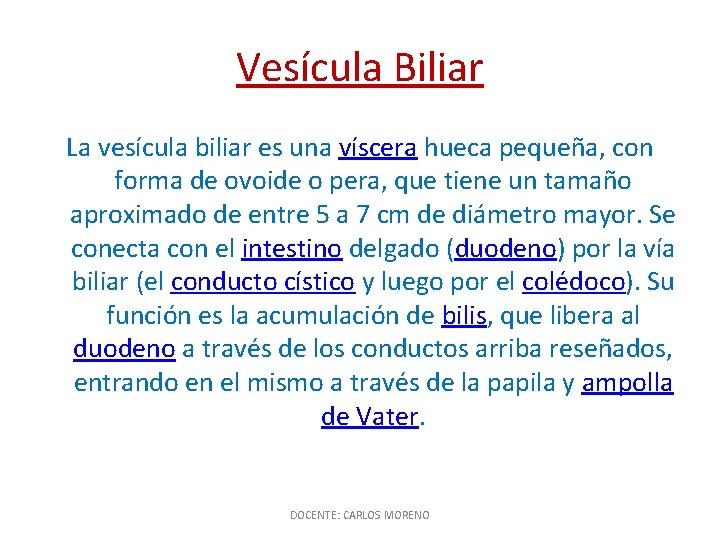 Vesícula Biliar La vesícula biliar es una víscera hueca pequeña, con forma de ovoide