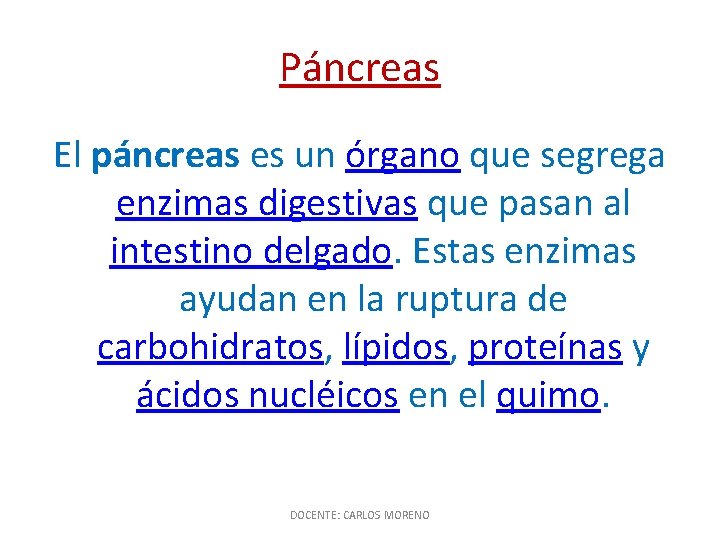 Páncreas El páncreas es un órgano que segrega enzimas digestivas que pasan al intestino