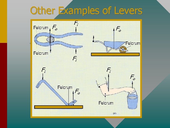 Other Examples of Levers 