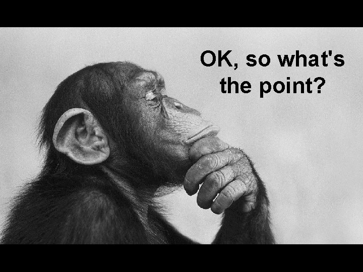 OK, so what's the point? OK, so what's the point?