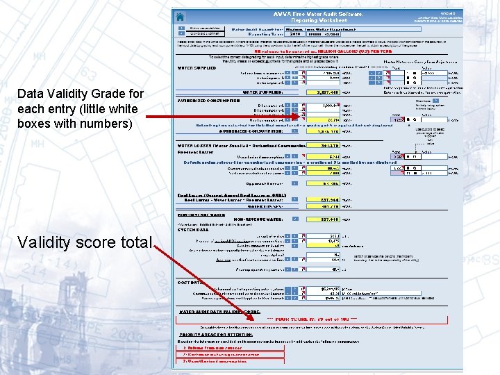 Data Validity Grade for each entry (little white boxes with numbers) Validity score total