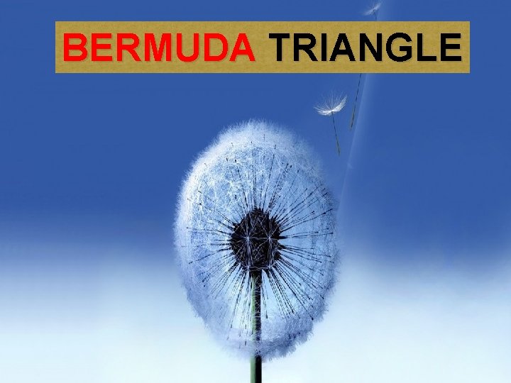 BERMUDA TRIANGLE 