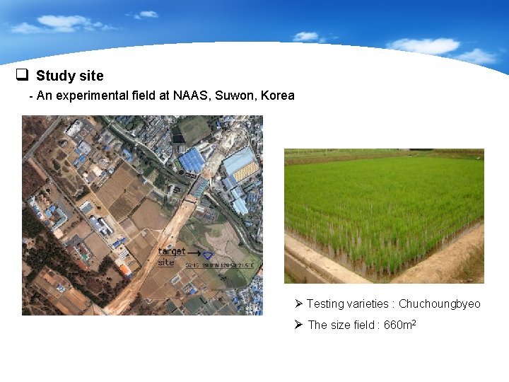 q Study site - An experimental field at NAAS, Suwon, Korea Ø Testing varieties