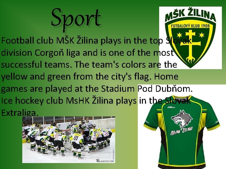 Sport Football club MŠK Žilina plays in the top Slovak division Corgoň liga and