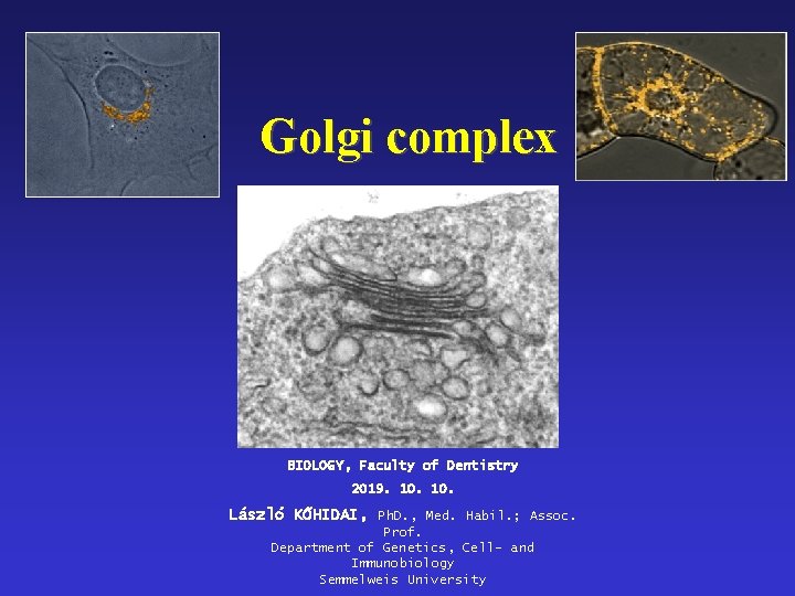 Golgi complex BIOLOGY, Faculty of Dentistry 2019. 10. László KŐHIDAI, Ph. D. , Med.