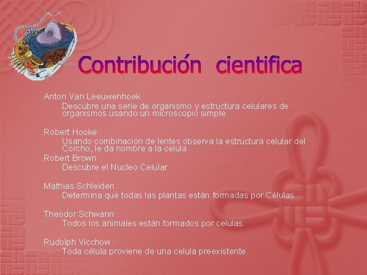 Contribución cientifica Anton Van Leeuwenhoek : Descubre una serie de organismo y estructura celulares
