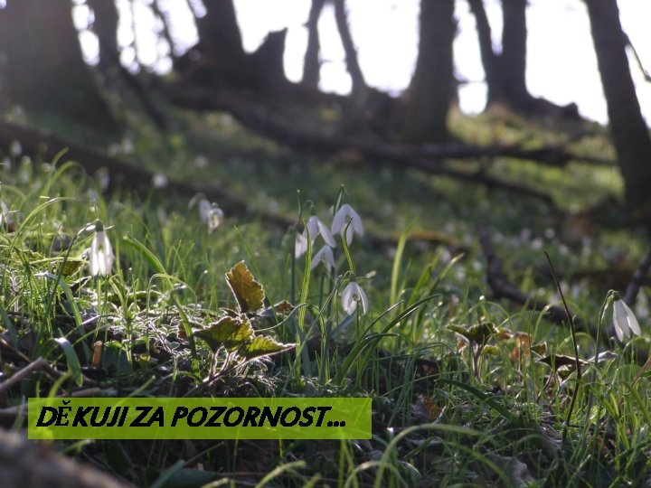 DĚKUJI ZA POZORNOST… 