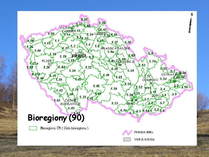 Bioregiony (90) 