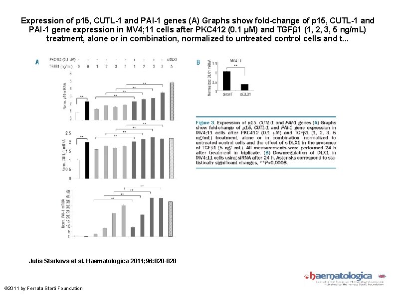 Expression of p 15, CUTL-1 and PAI-1 genes (A) Graphs show fold-change of p