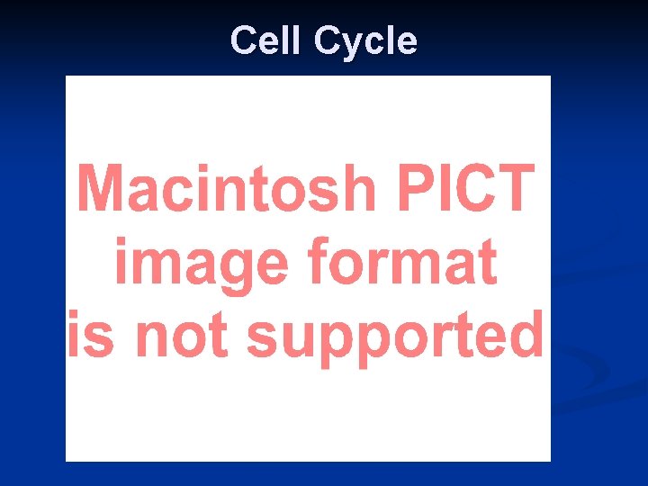 Cell Cycle 