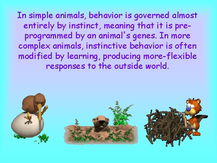 In simple animals, behavior is governed almost entirely by instinct, meaning that it is In simple animals, behavior is governed almost entirely by instinct, meaning that it is