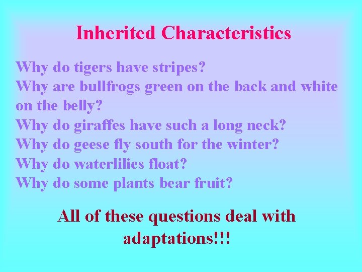Inherited Characteristics Why do tigers have stripes? Why are bullfrogs green on the back Inherited Characteristics Why do tigers have stripes? Why are bullfrogs green on the back
