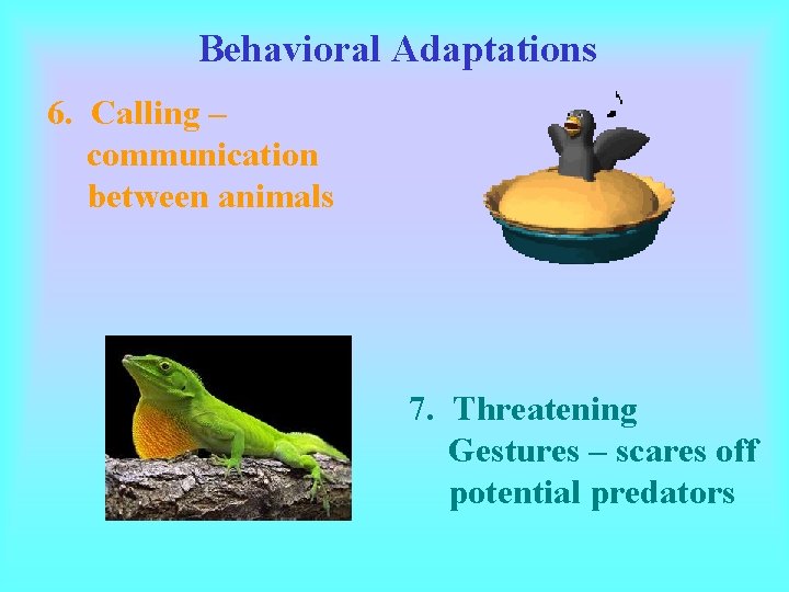 Behavioral Adaptations 6. Calling – communication between animals 7. Threatening Gestures – scares off Behavioral Adaptations 6. Calling – communication between animals 7. Threatening Gestures – scares off