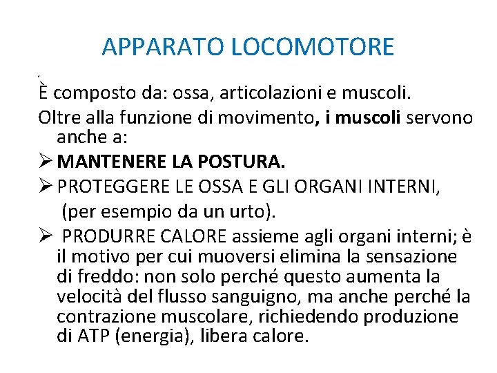 APPARATO LOCOMOTORE è È composto da: ossa, articolazioni e muscoli. Oltre alla funzione di