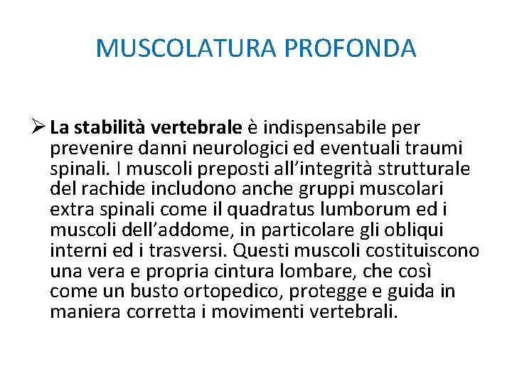 MUSCOLATURA PROFONDA Ø La stabilità vertebrale è indispensabile per prevenire danni neurologici ed eventuali