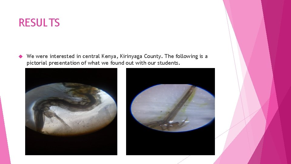 RESULTS We were interested in central Kenya, Kirinyaga County. The following is a pictorial RESULTS We were interested in central Kenya, Kirinyaga County. The following is a pictorial