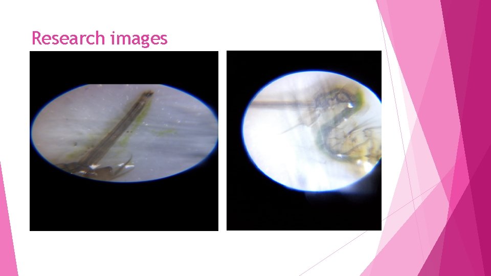 Research images Research images