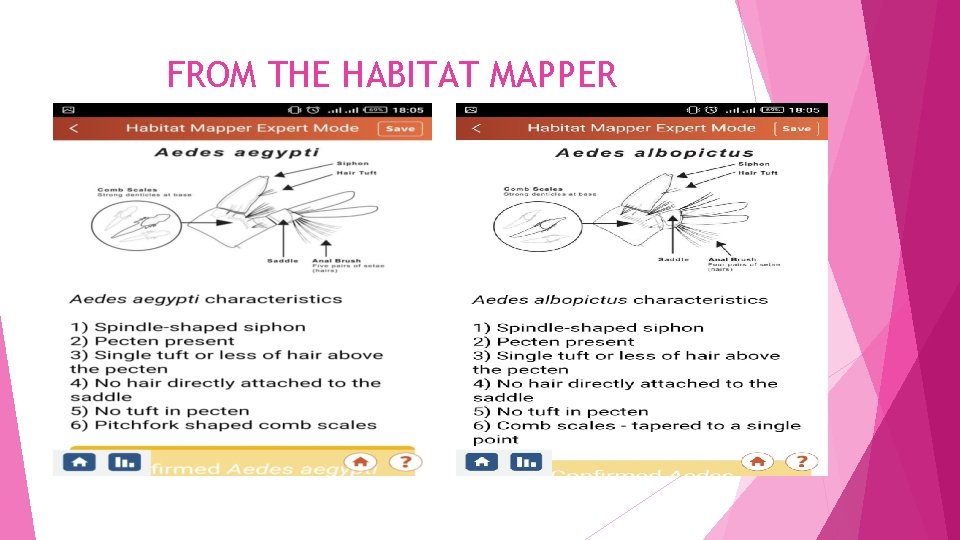FROM THE HABITAT MAPPER FROM THE HABITAT MAPPER