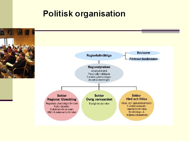 Politisk organisation 