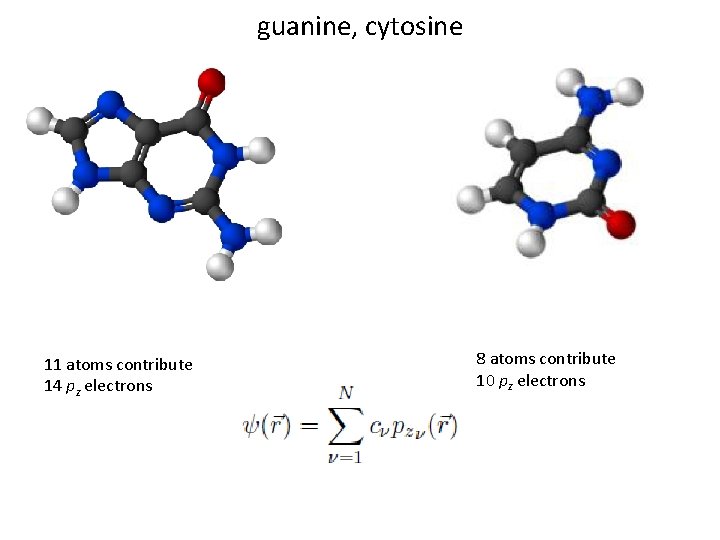 guanine, cytosine 11 atoms contribute 14 pz electrons 8 atoms contribute 10 pz electrons