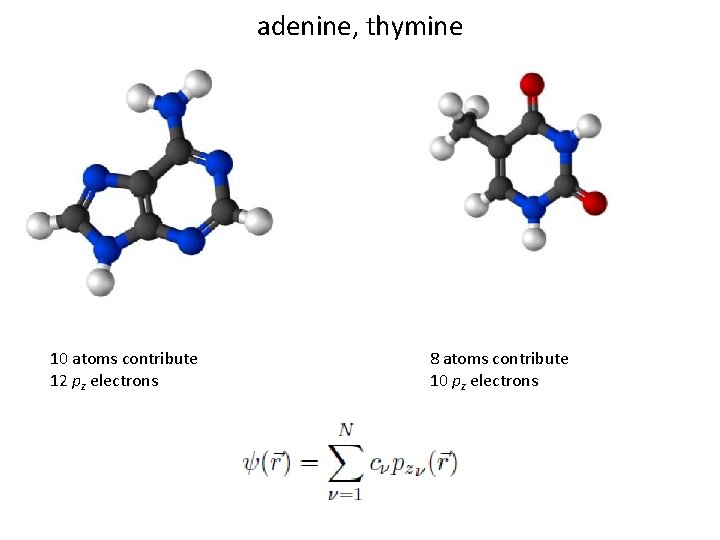 adenine, thymine 10 atoms contribute 12 pz electrons 8 atoms contribute 10 pz electrons