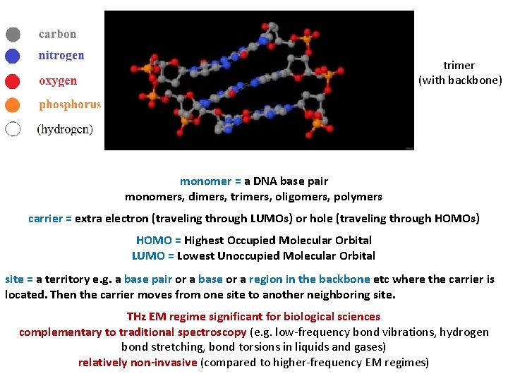 Title trimer (with backbone) monomer = a DNA base pair monomers, dimers, trimers, oligomers,