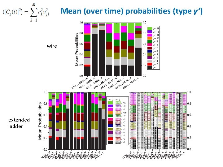 Mean (over time) probabilities (type γ’) wire extended ladder 