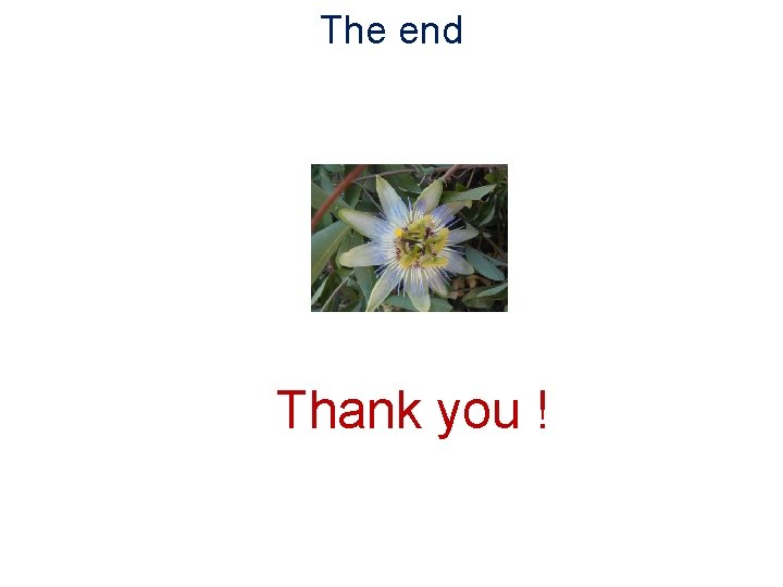 The end Thank you ! 