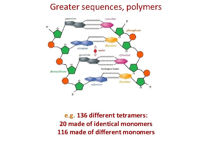 Greater sequences, polymers Title e. g. 136 different tetramers: 20 made of identical monomers