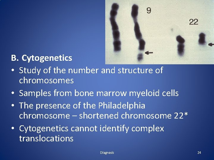 B. Cytogenetics • Study of the number and structure of chromosomes • Samples from