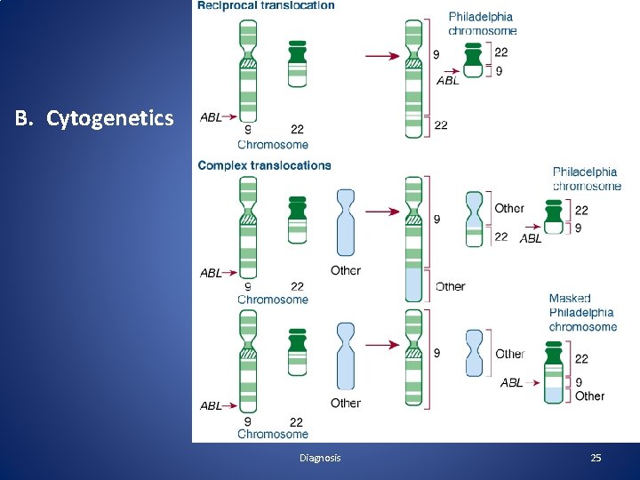 B. Cytogenetics Diagnosis 25 