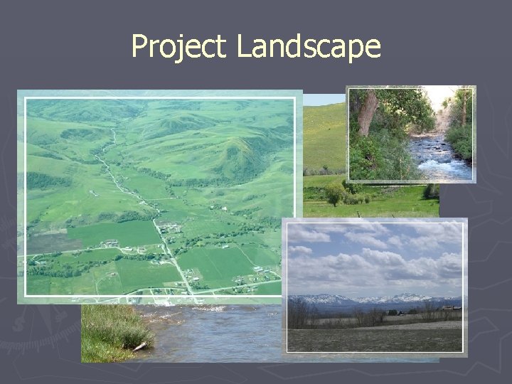 Project Landscape Project Landscape